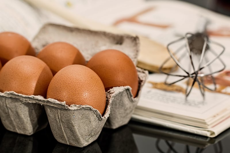 Egg Carton Creatures